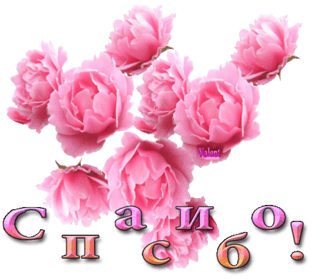 Утро на СТС - Славич Мороз и Юлия Приз - СОЗВЕЗДИЕ СЧАСТЬЯ - Группы Мой Мир