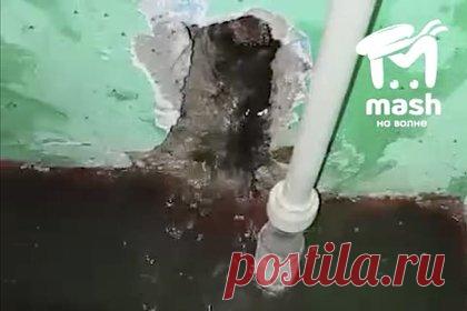 В российском городе у администрации появился фекальный потоп