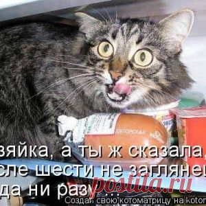 Раздел Сирии: Подводные камни резолюции Совбеза ООН по борьбе с терроризмом