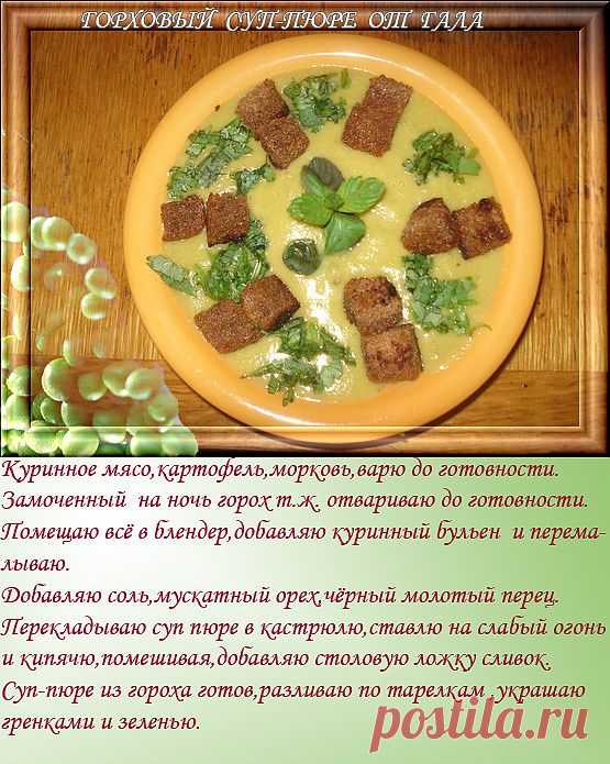 ГОРОХОВЫЙ СУП-ПЮРЕ ОТ ГАЛА - Рецепты с картинками
