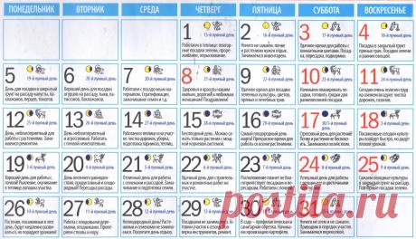 Лунный календарь на март 2018 года для садоводов и огородников. благоприятные дни для посадки рассады в марте 2018