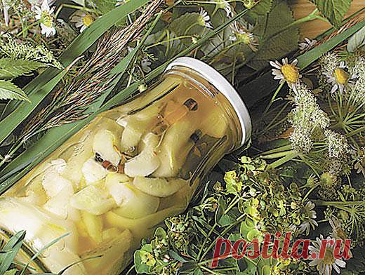 Консервирование перезрелых огурцов - Рецепты - Кухня - Аргументы и Факты