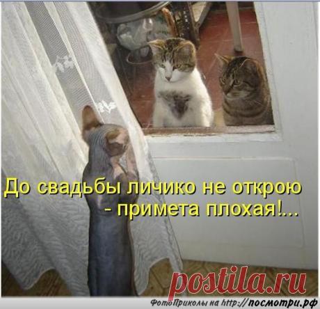 Новости