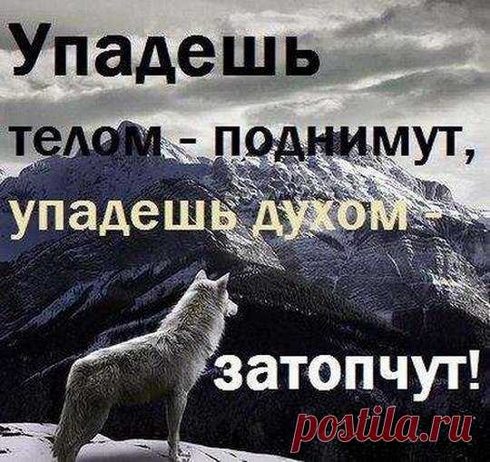 Время сейчас такое…
Искренность? Нет, не видел…
Люди теперь с ценою
В самом гламурном виде…

Книг электронных мода…
Ценности так банальны…
Вместо секретов коды.
Радости виртуальны…

Кажется всё подделкой…
Сердце внутри пустое…
Искренность стала мелкой.
Время сейчас такое…

Мир в цифровом формате...
Нравственность? Нет, не знаю…
Совесть теперь не катит…
Лучше про связь «ВайФая»…

Женщины возмужали,
Дом и семью построят…
Женственней парни стали…
Время сейчас такое…