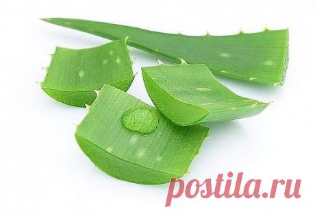 (63) Одноклассники