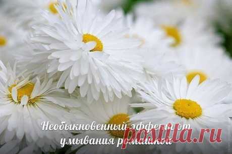 Необыкновенный эффект от умывания ромашкой