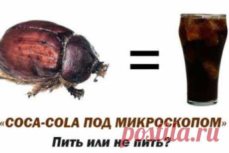Сочный клуб | Сочные новости интернета