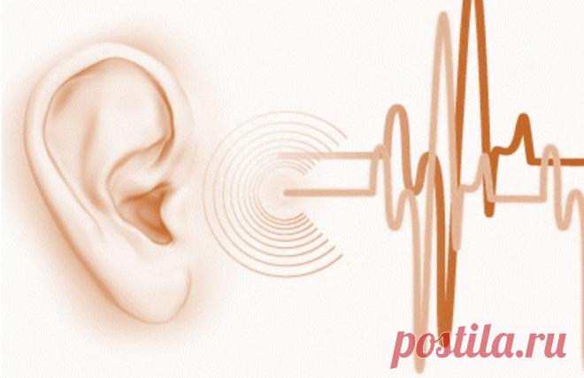 Шум в ушах или в голове. Сово-Сово — Омоложение и оздоровление!