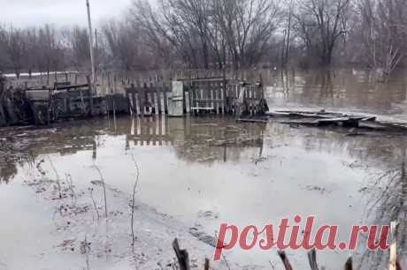 Уровень воды на реке Урал продолжает повышаться. В Илекском районе уровень воды превысил опасную отметку 890 см.
