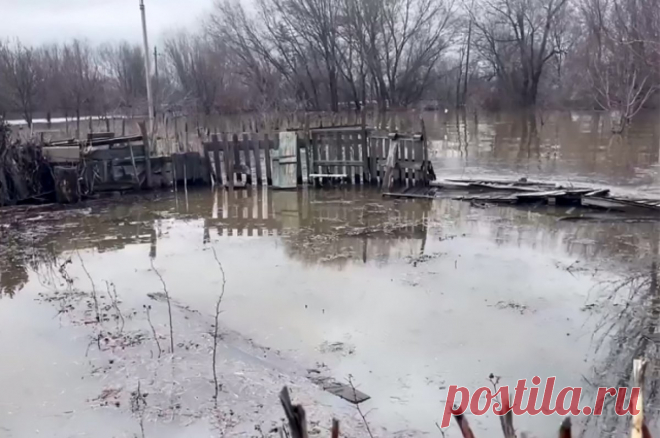 Уровень воды на реке Урал продолжает повышаться. В Илекском районе уровень воды превысил опасную отметку 890 см.