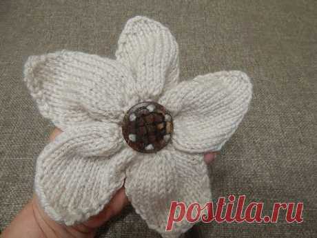 Flor dos Agujas Cinco Pétalos