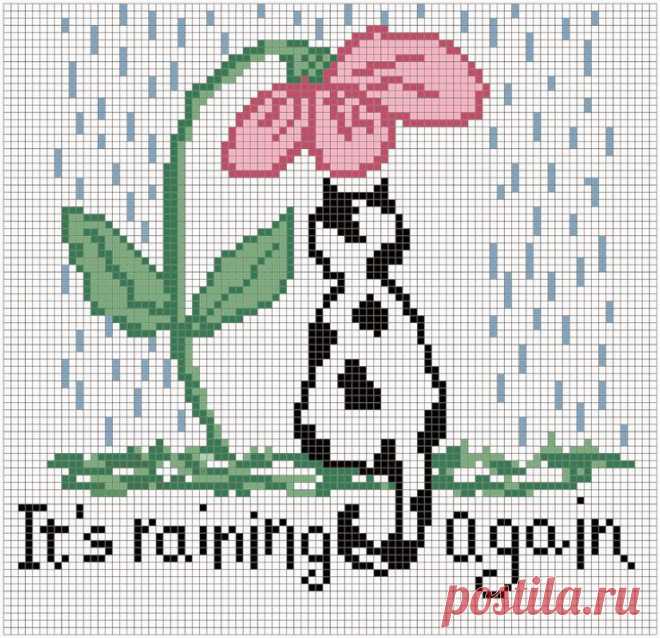Pin by Fiorella Santini on Gattini