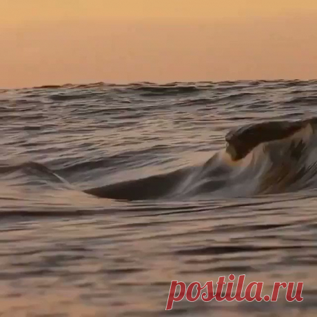 Айвазовский нервно курит в сторонке.