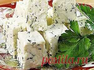 Польза брынзы. Хранение и приготовление. | Здоровая жизнь