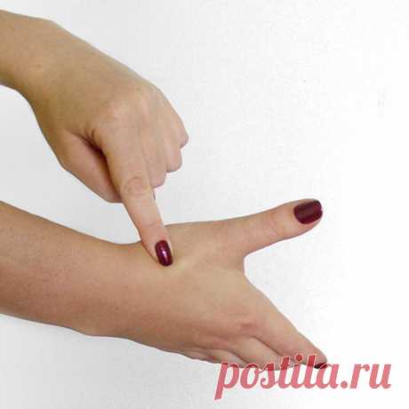 Нажимайте на эти точки, чтобы избавится от лишнего веса!!! — Диеты со всего света