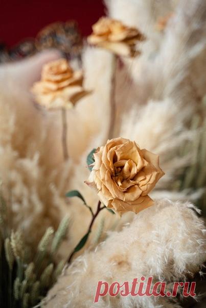 Мечты о лете 😍 Фотограф: Олеся Уколова Декор и флористика: БУКЕТ НЕВЕСТЫ СПБ Cтилист-визажист: СВАДЕБНЫЙ СТИЛИСТ САНКТ-ПЕТЕРБУРГ СПБ Свадебные и будуарные платья: Свадебные и будуарные платья - Boudoir-wedding