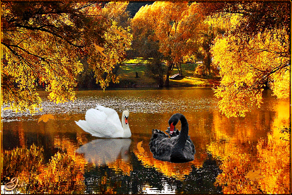 Геннадий Елисеев,Прими меня,какой я есть - (ღ˘⌣˘)♥Oбщение для Души♥(ˆ⌣ˆԅ) - Группы Мой Мир