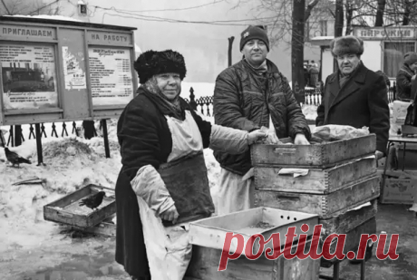 Советские рецепты начинок. С этими двумя начинками уже мало кто готовит пирожки: с ливером и мозгами - Будет вкусно - Медиаплатформа МирТесен