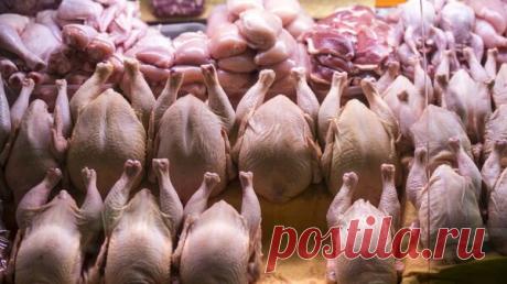 ФАС проверит обоснованность цен на мясо птицы