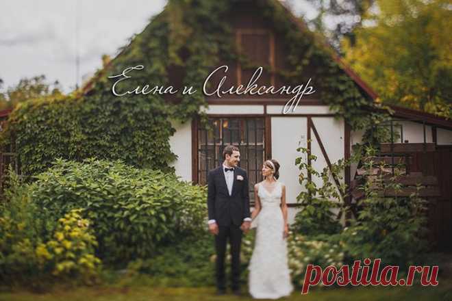 Очарование любви: свадьба Лены и Александра - WeddyWood
