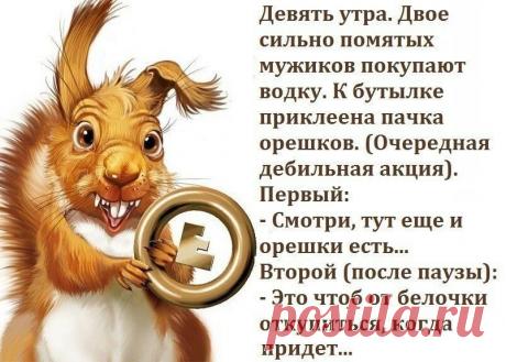 (41) Одноклассники