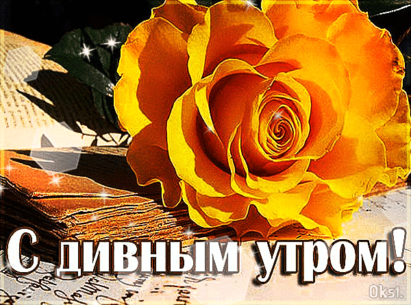 (9) Pinterest