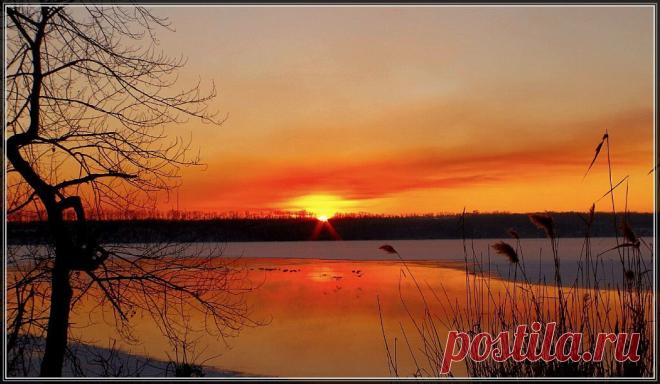 Николай Тесля
61 год, Украина, Запорожье