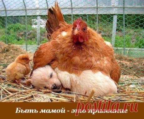 Это точно!