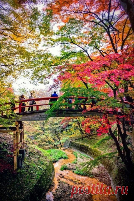 Bridge of the Kappa, Japan! | Japan