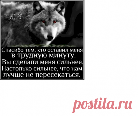 Выпуск №6722 - выпуск анекдотов сайта вокруг смеха