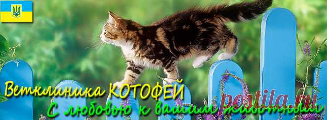 Торговые марки