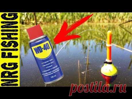 Ловля карася на WD - 40. Это просто БОМБА!!!