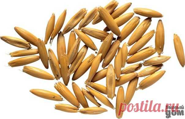 Фотографии на стене сообщества | 32 823 фотографии | ВКонтакте