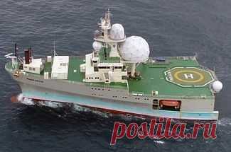 Удивительный ублюдок  Я лично его в живую не видел. Мне не довелось ходить северными морями и поэтому, когда я нашёл в соцсетях вот это: 

то немедленно задался вопросом: кто же так вдохновился гоголевским 