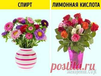 Странные и эффективные способы оживить цветы, о которых знают только флористы Как так получается, что, выбирая в цветочном магазине красивый букет, мы видим его увядшим в домашней вазе уже через 2 дня? Обязательных правил для сохранения свежести только 2: чистая вода и срез сте...