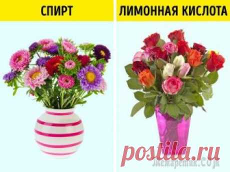 Странные и эффективные способы оживить цветы, о которых знают только флористы Как так получается, что, выбирая в цветочном магазине красивый букет, мы видим его увядшим в домашней вазе уже через 2 дня? Обязательных правил для сохранения свежести только 2: чистая вода и срез сте...