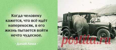 Мудрые фразы для переосмысления вашей жизни