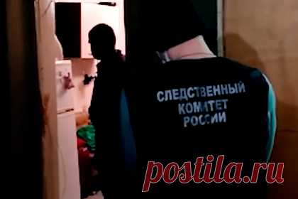 Раскрыты подробности похищения и убийства пятилетней девочки в Костроме. Задержанные за убийство пятилетней девочки в Костроме Денис Герасимов и Вадим Беляков не планировали похищение ребенка. Они раскрыли подробности преступления на допросе. Герасимов и Беляков увидели пятилетнюю Веронику Николаеву на улице рядом с культурным центром, в котором ее мать работает уборщицей.