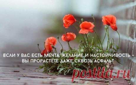 мы становимся слепыми к тому что видим каждый день но каждый день разный и каждый день является чудом вопрос только в том чтобы обратить внимание на это чудо - Поиск в Google