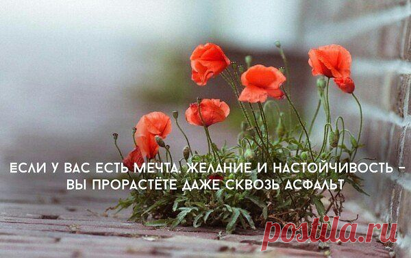 мы становимся слепыми к тому что видим каждый день но каждый день разный и каждый день является чудом вопрос только в том чтобы обратить внимание на это чудо - Поиск в Google