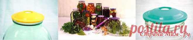 СОБИРАЕМ! СП-2 Умное хранение продуктов с системой ВАКС (вакуУМНОЕ консервирование)/ Россия, Казахстан - Коллективные покупки или СП - Страна Мам