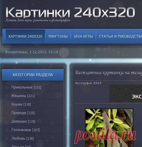 Скачать бесплатные картинки на телефон с разрешением экрана 240х320