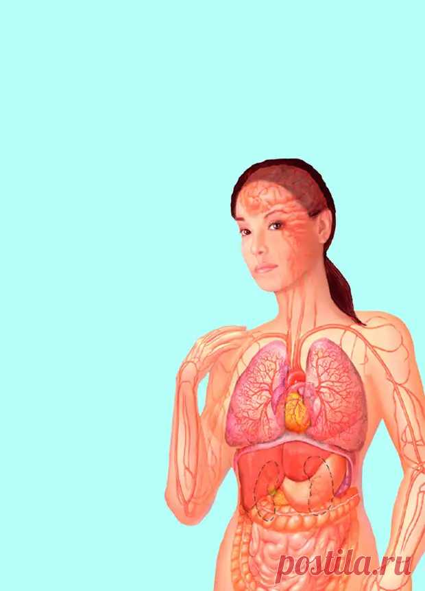 Самодиагностика: 6 экспресс-тестов для определения проблем со здоровьем - Домашняя аптечка - медиаплатформа МирТесен