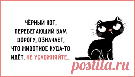 Совет дня