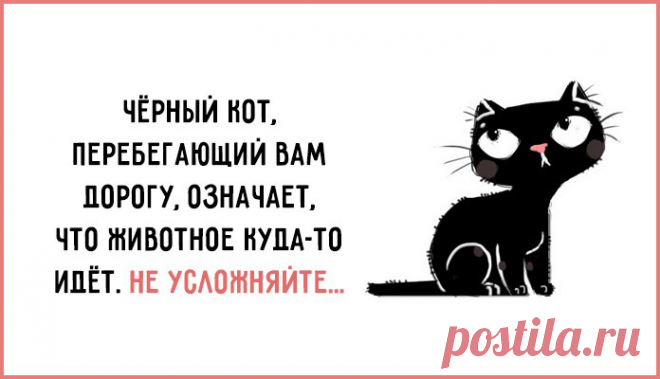 Совет дня