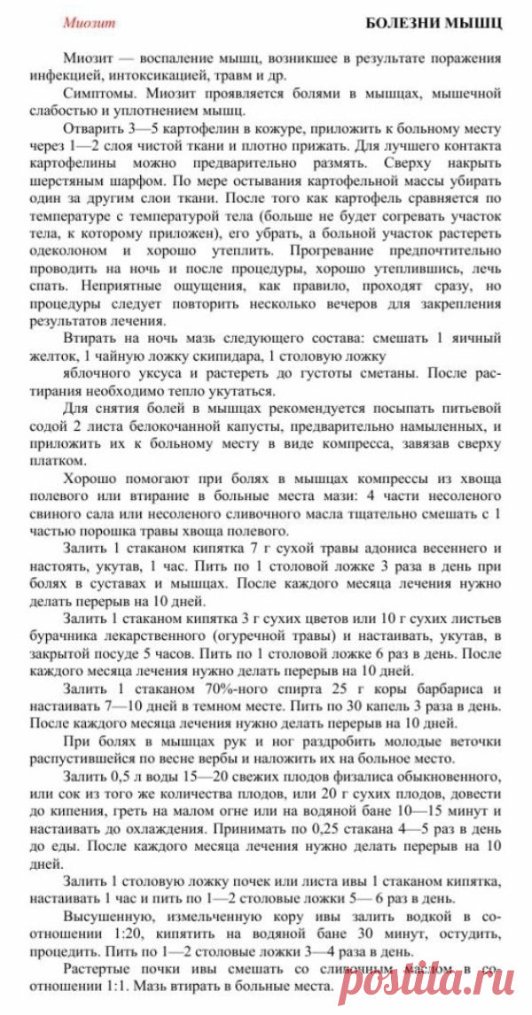 Миозит.
Травник. Золотые рецепты народной медицины. Универсальный справочник. Москва 2007