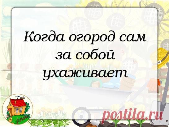 #факт
Травы нужно высевать редкими вкраплениями, а не сплошняком, иначе они заглушат рост основной культуры. Итак приступим:
Базилик - замечательно растет-дружит с томатами, улучшая их вкус, капустой, фасолью, перцами. Своей 