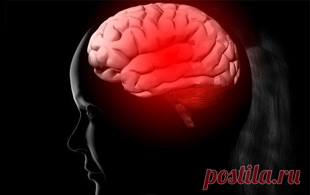 Создана диета, предотвращающая развитие болезни Альцгеймера на 53 процента // KP.RU