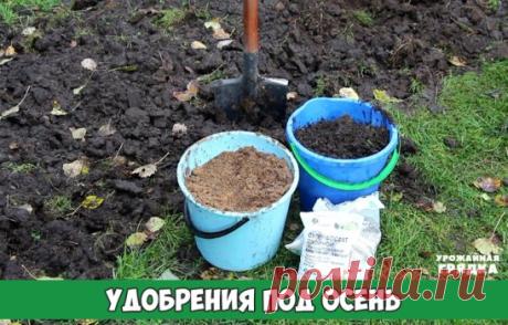 Какие удобрения вносить осенью под перекопку в почву?
Есть ряд удобрений, которые лучше всего подходят именно для осеннего периода их внесения. Некоторые из них хорошо всем известны, и постоянно находятся у огородников на слуху. Другие, не так часто мы используем, но их применение тоже пойдёт только на пользу почве, и сделает её более плодородной.