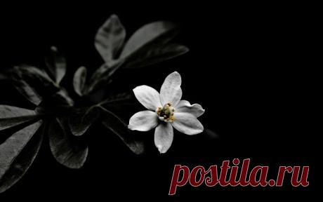 ​Боль надо прожить — Психология отношений
